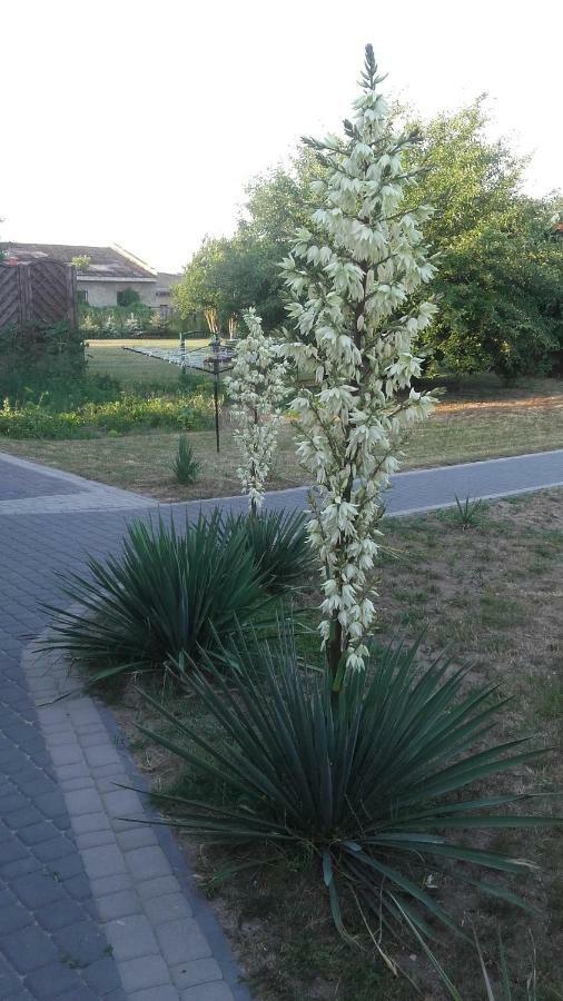 Apartament Wolin Nad Woda Kolo Miedzyzdrojow Buitenkant foto